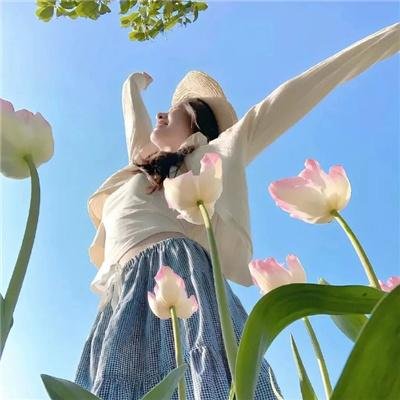 傲骨之战第二季